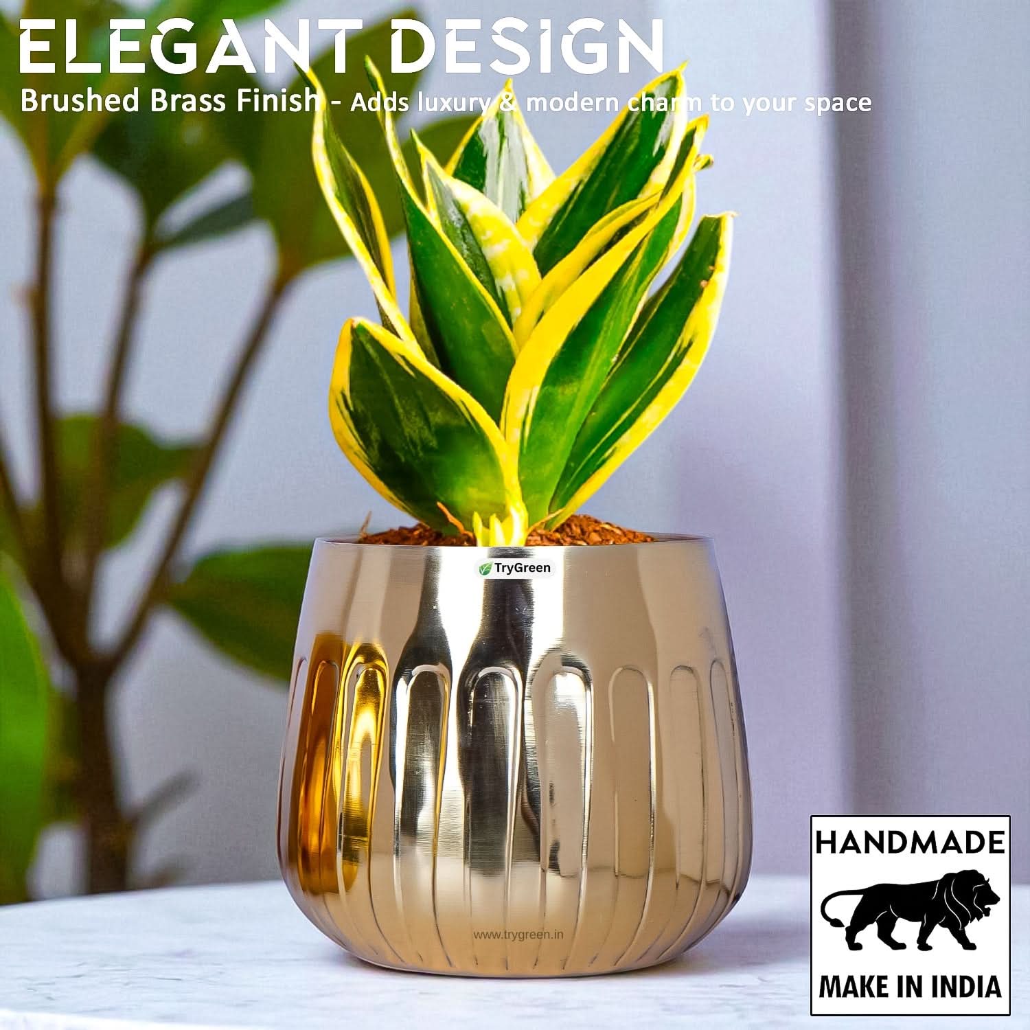 TryGreen Asta Metal Planters (Set of 3)