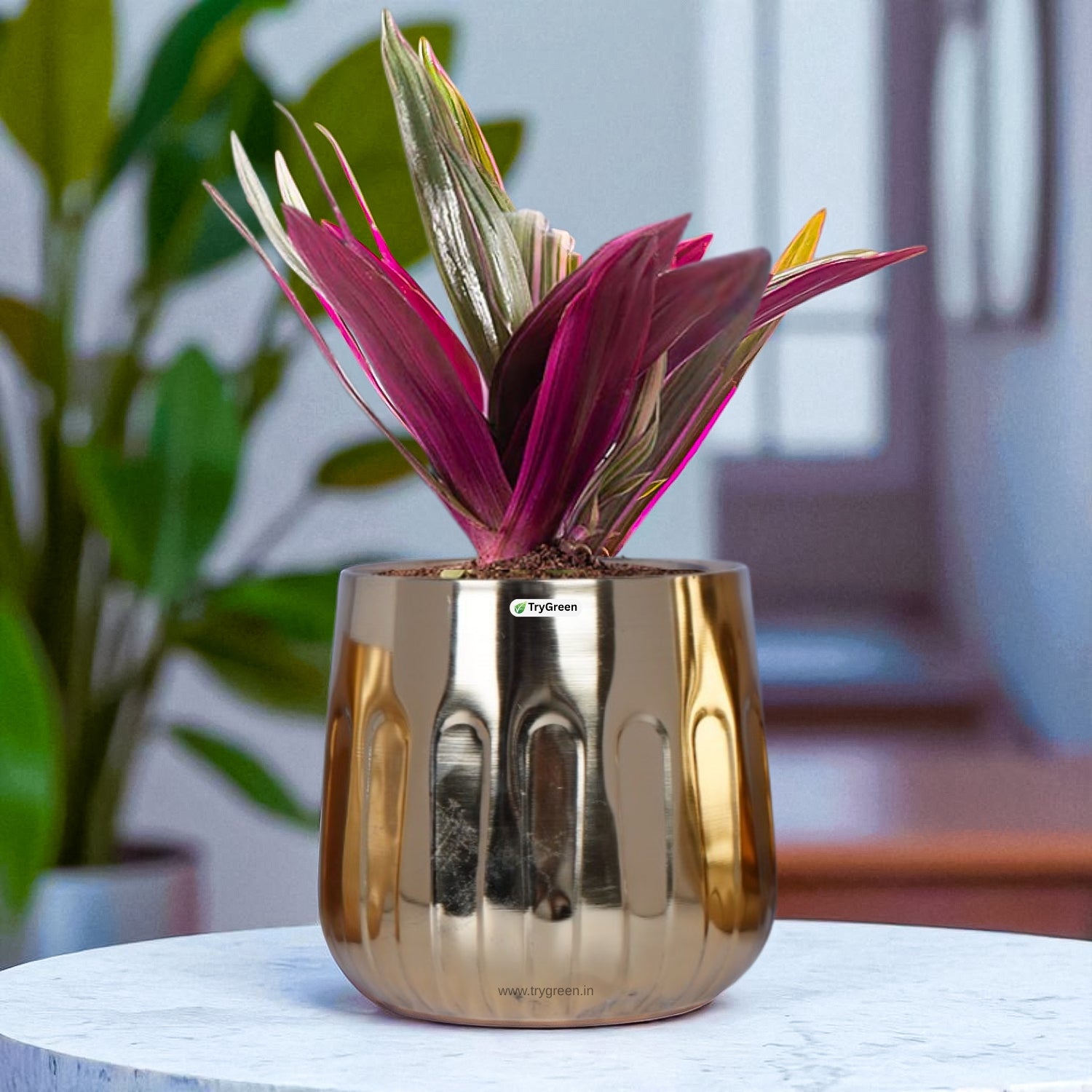 TryGreen Asta Metal Planters (Set of 3)