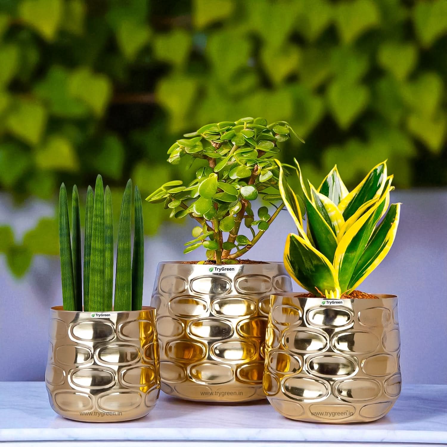 TryGreen Tria Metal Planters (Set of 3)