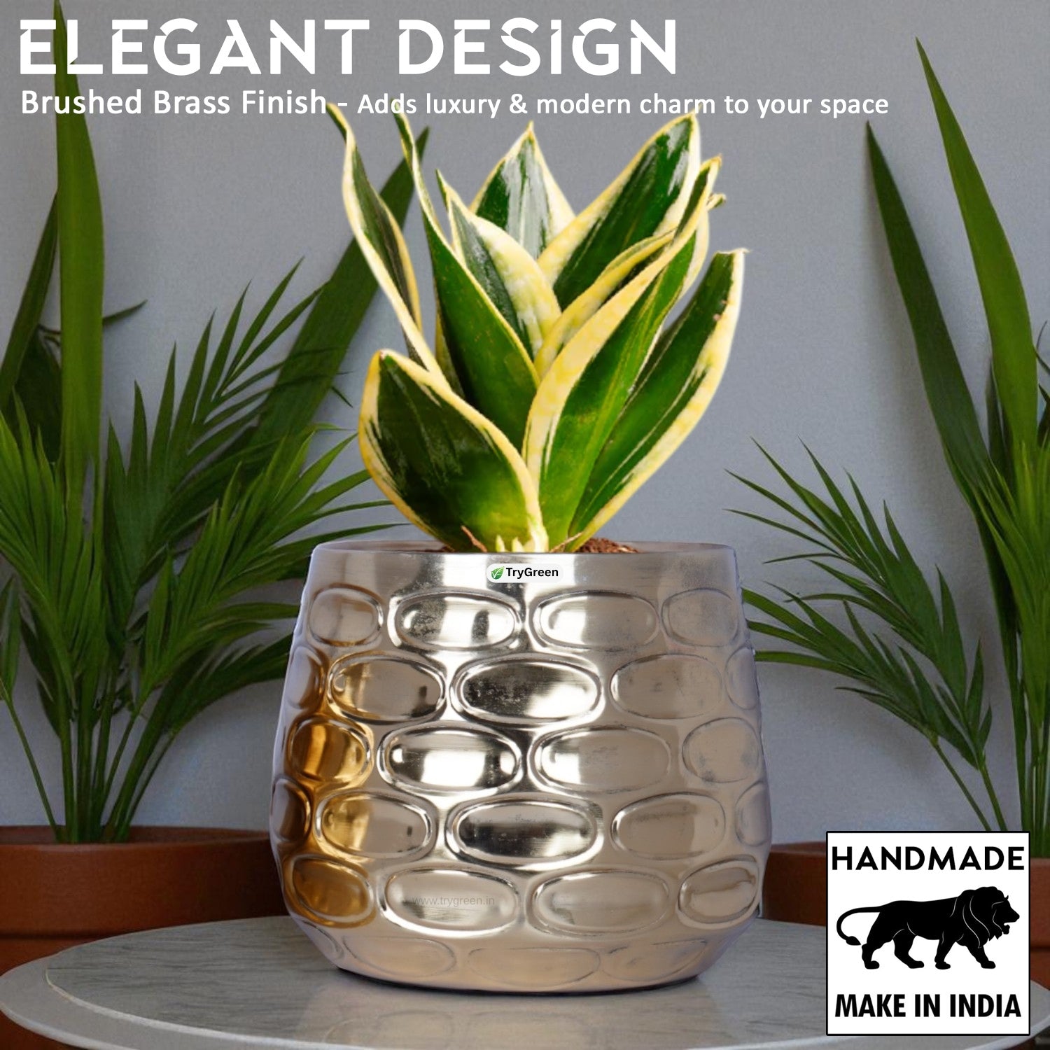 TryGreen Tria Metal Planters (Set of 3)