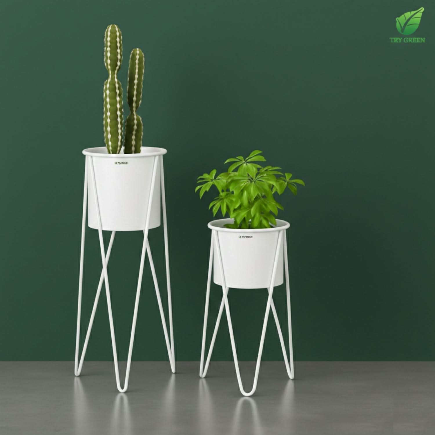 TryGreen- Strin Stylish Pots with Stands for Elegant Spaces(White)
