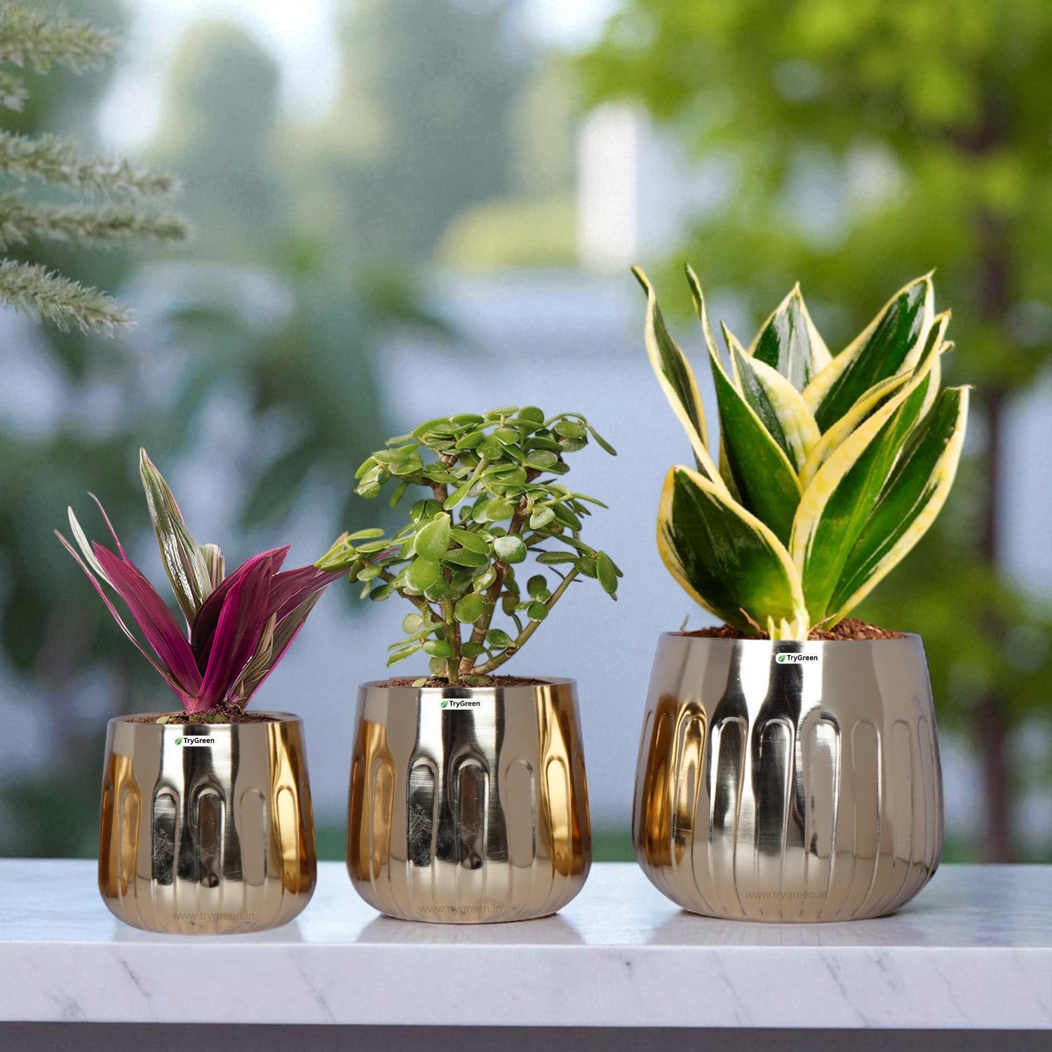 TryGreen Asta Metal Planters (Set of 3)