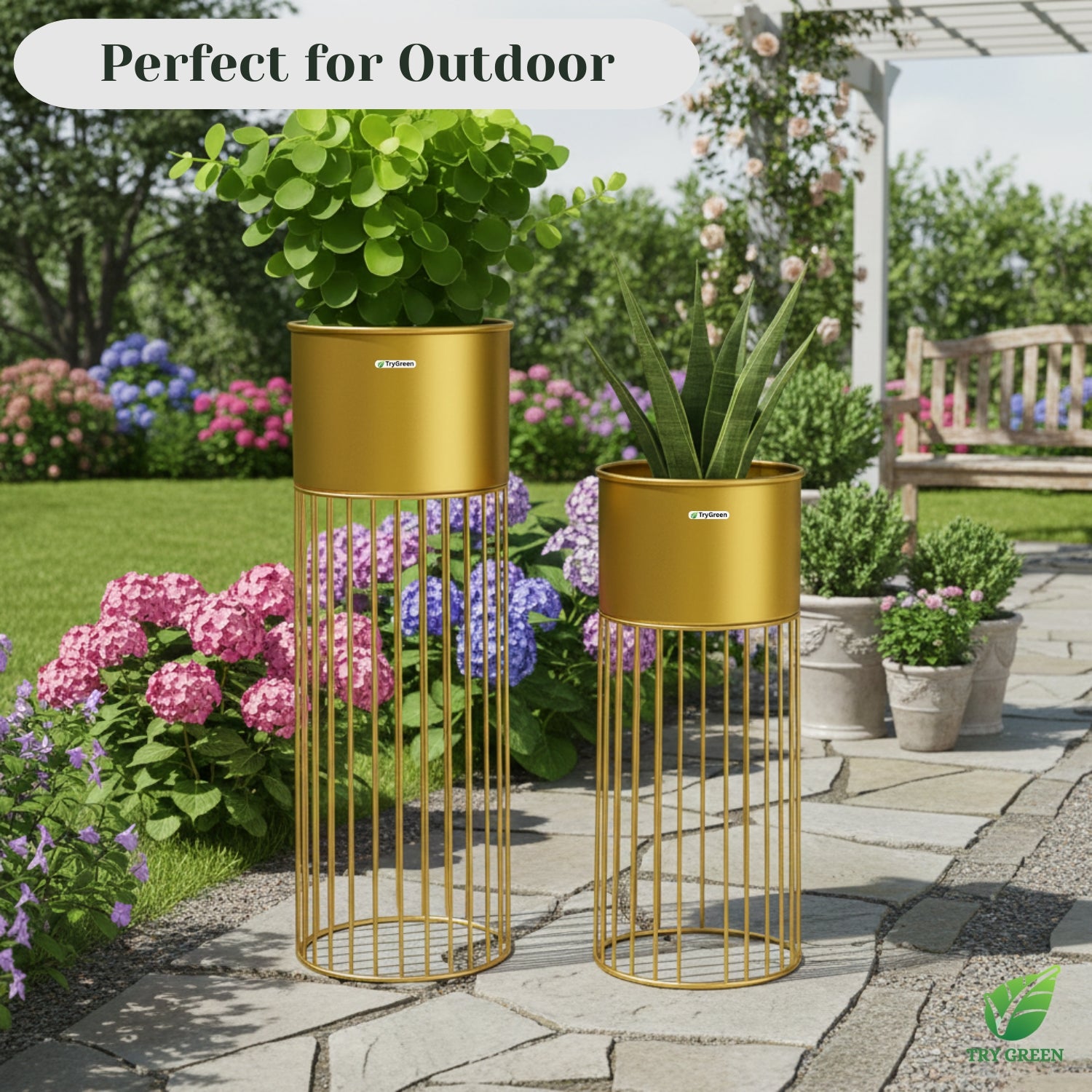 TryGreen- Tumble Stylish Pots with Stands for Elegant Spaces(Gold)