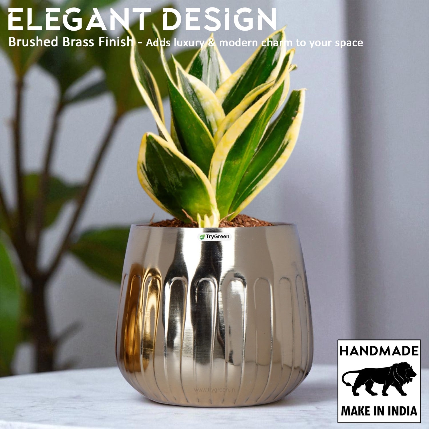 TryGreen Asta Metal Planters (Set of 3)