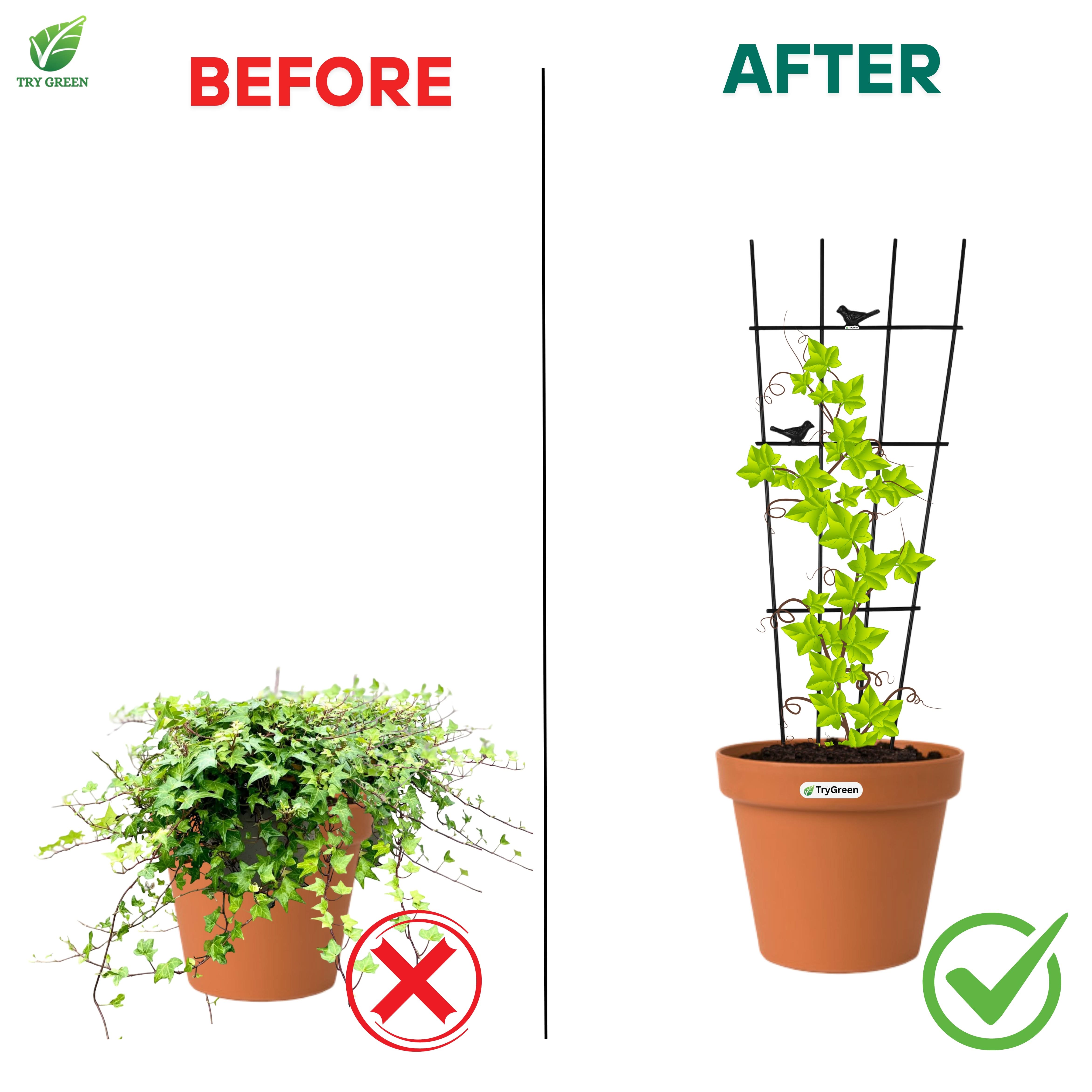 TryGreen- Grill Shape Strong Support Stakes for Garden