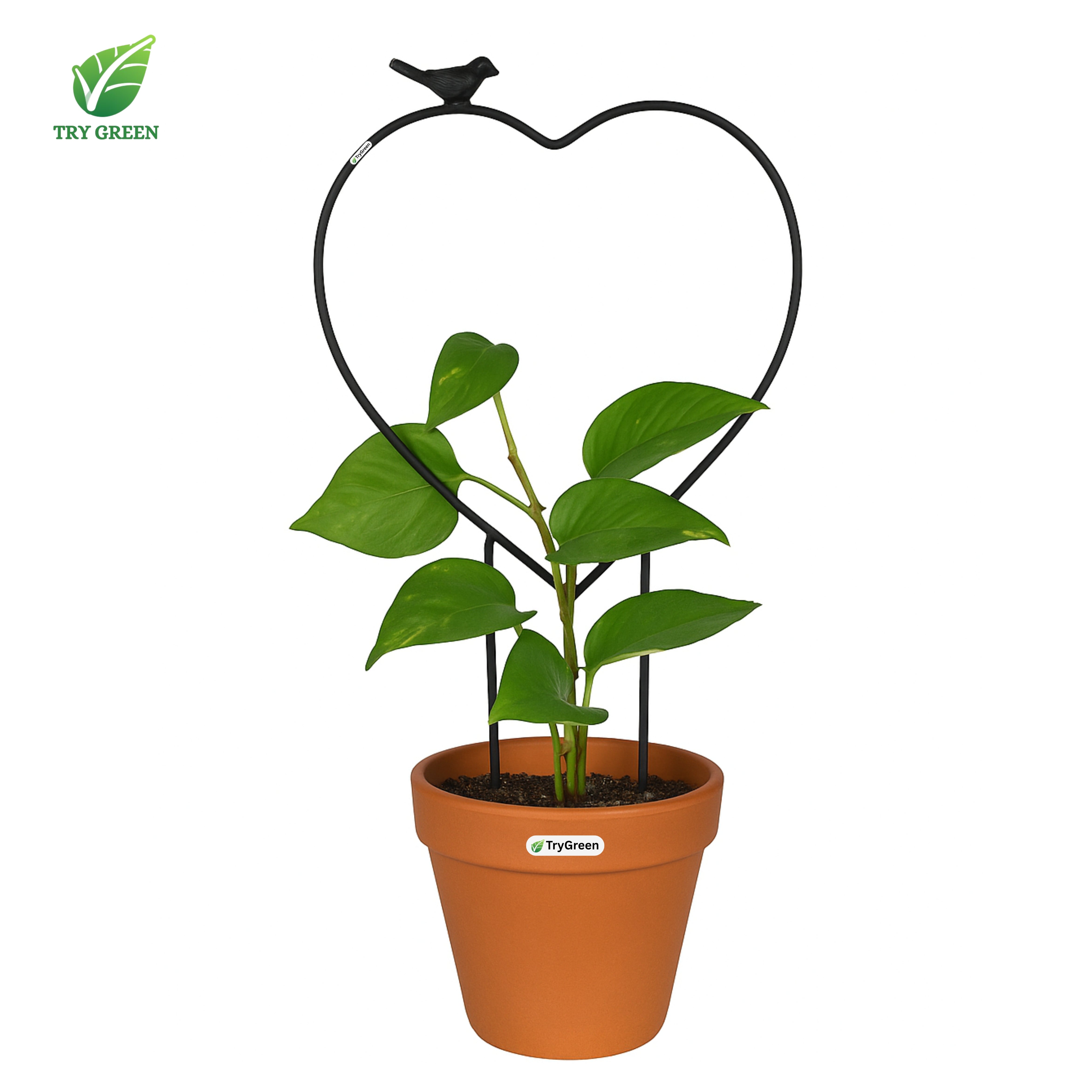 TryGreen- Heart Shape Strong Support Stakes for Garden