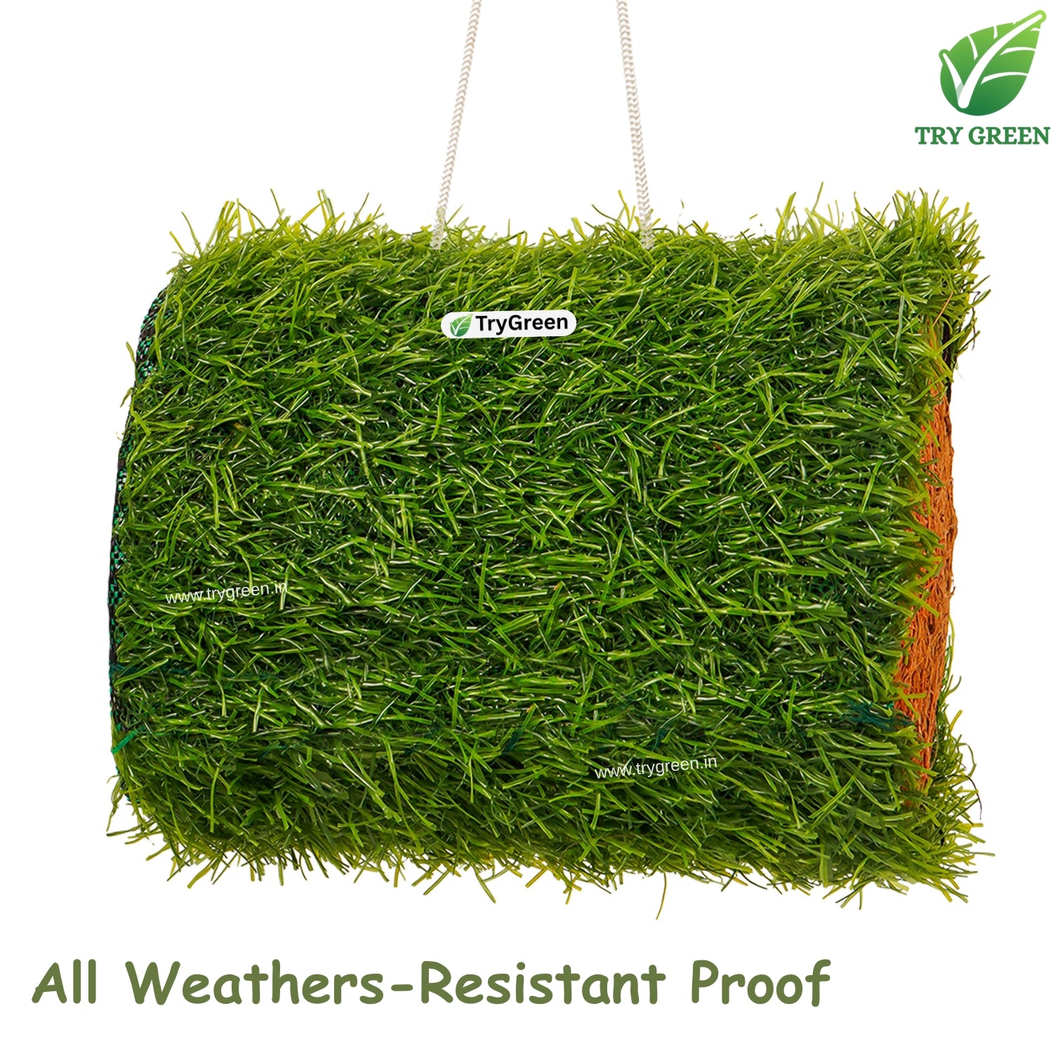 TryGreen- Plumz Bird House Eco-Friendly