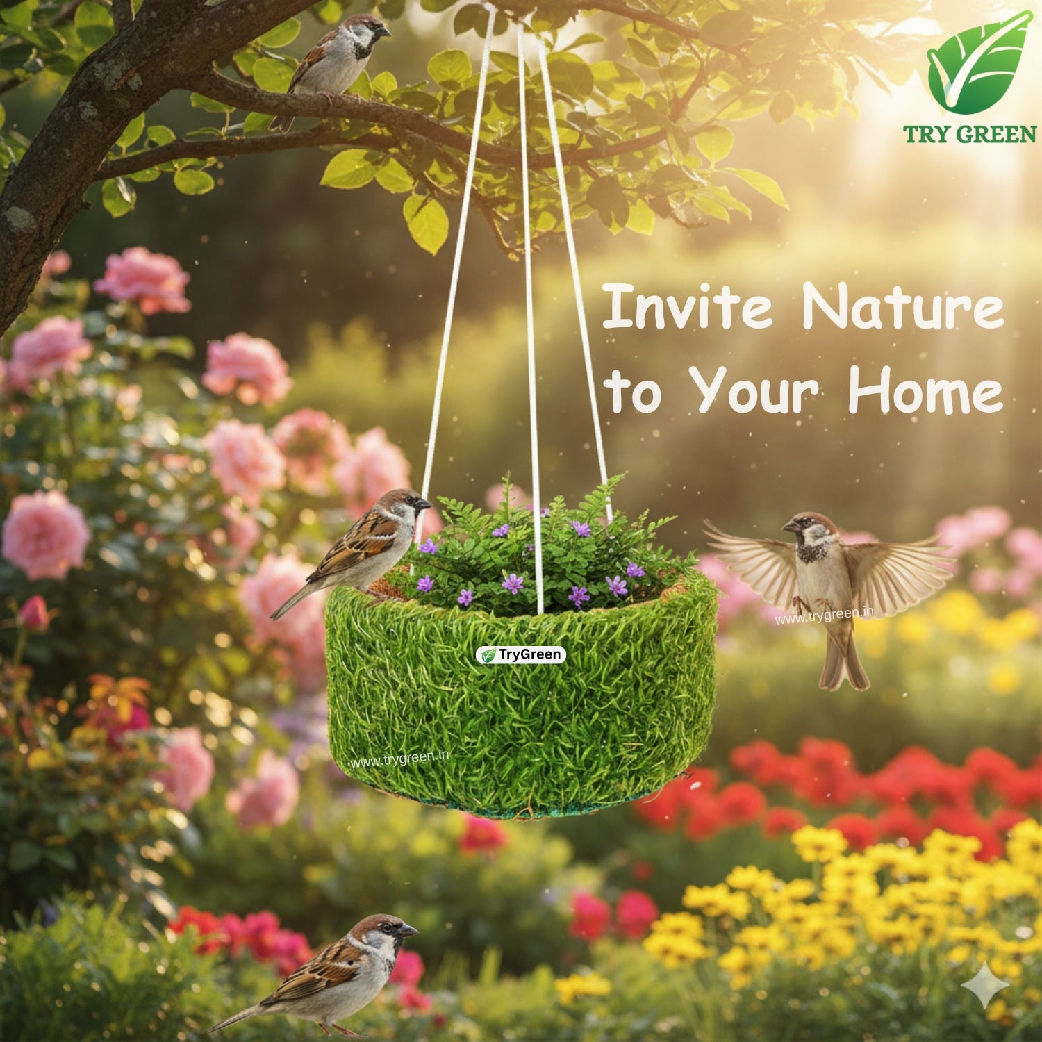TryGreen- Nest Bird House Eco-Friendly (Set of 2)
