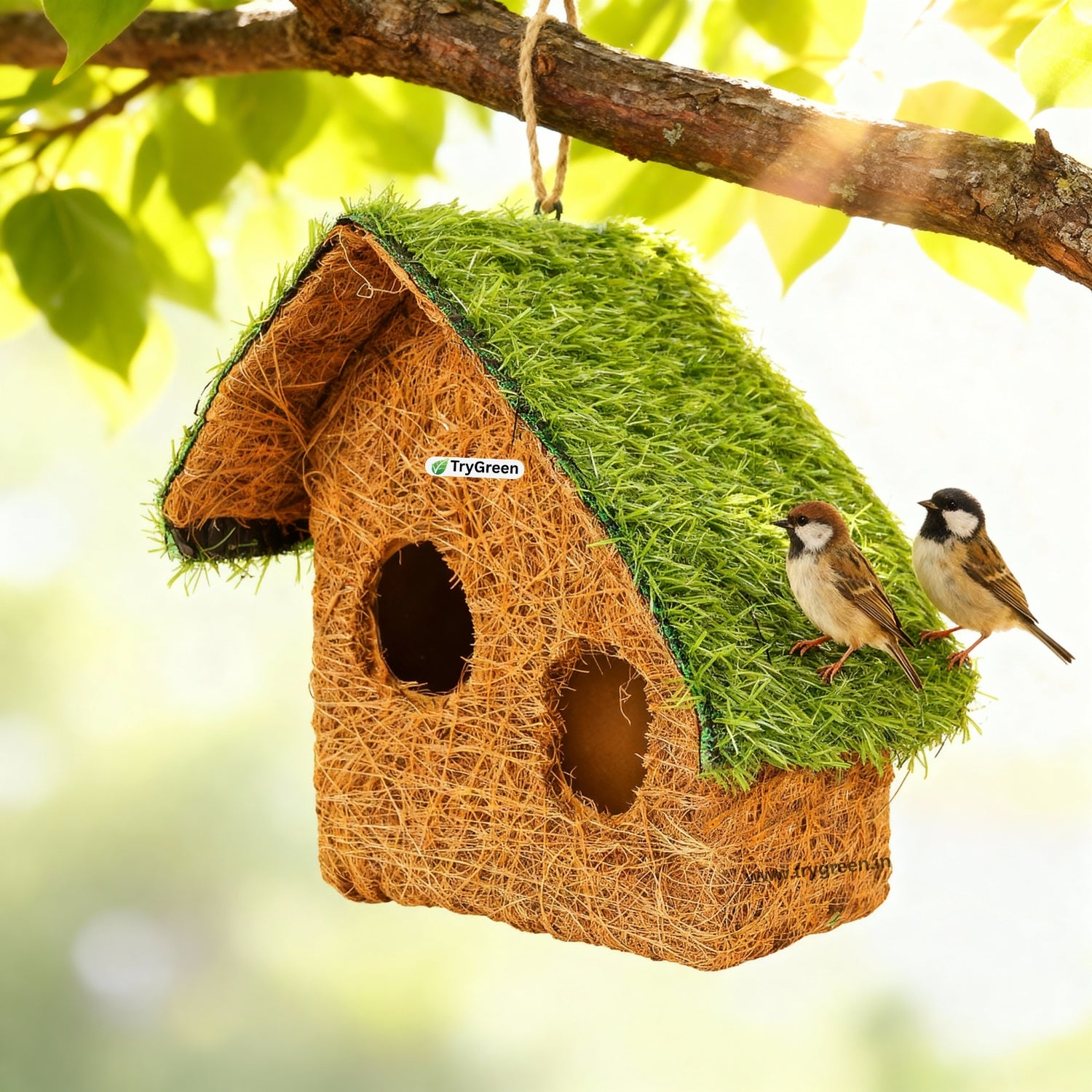 TryGreen- Tilt Bird House Eco-Friendly