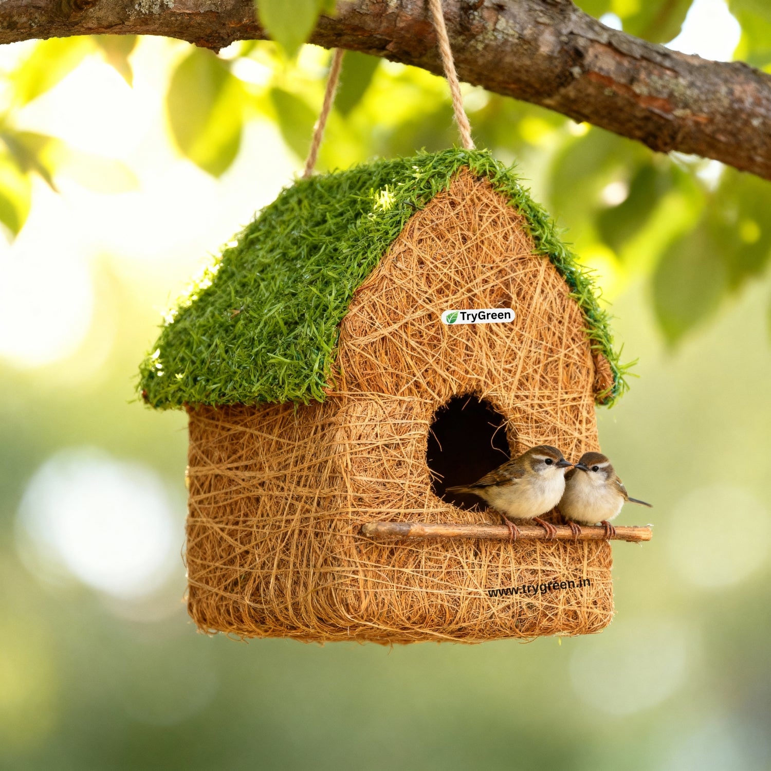 TryGreen- Rosty Bird House Eco-Friendly