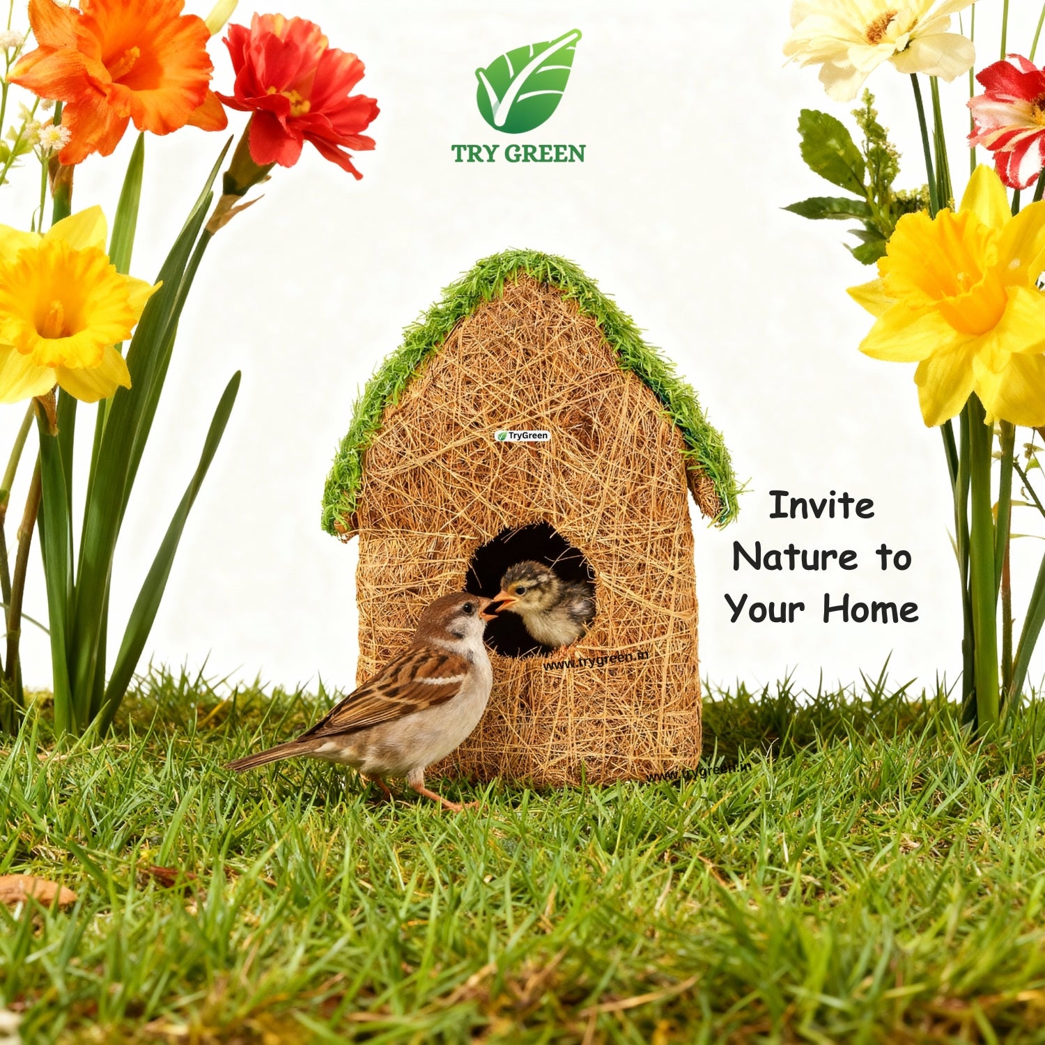 TryGreen- Rosty Bird House Eco-Friendly