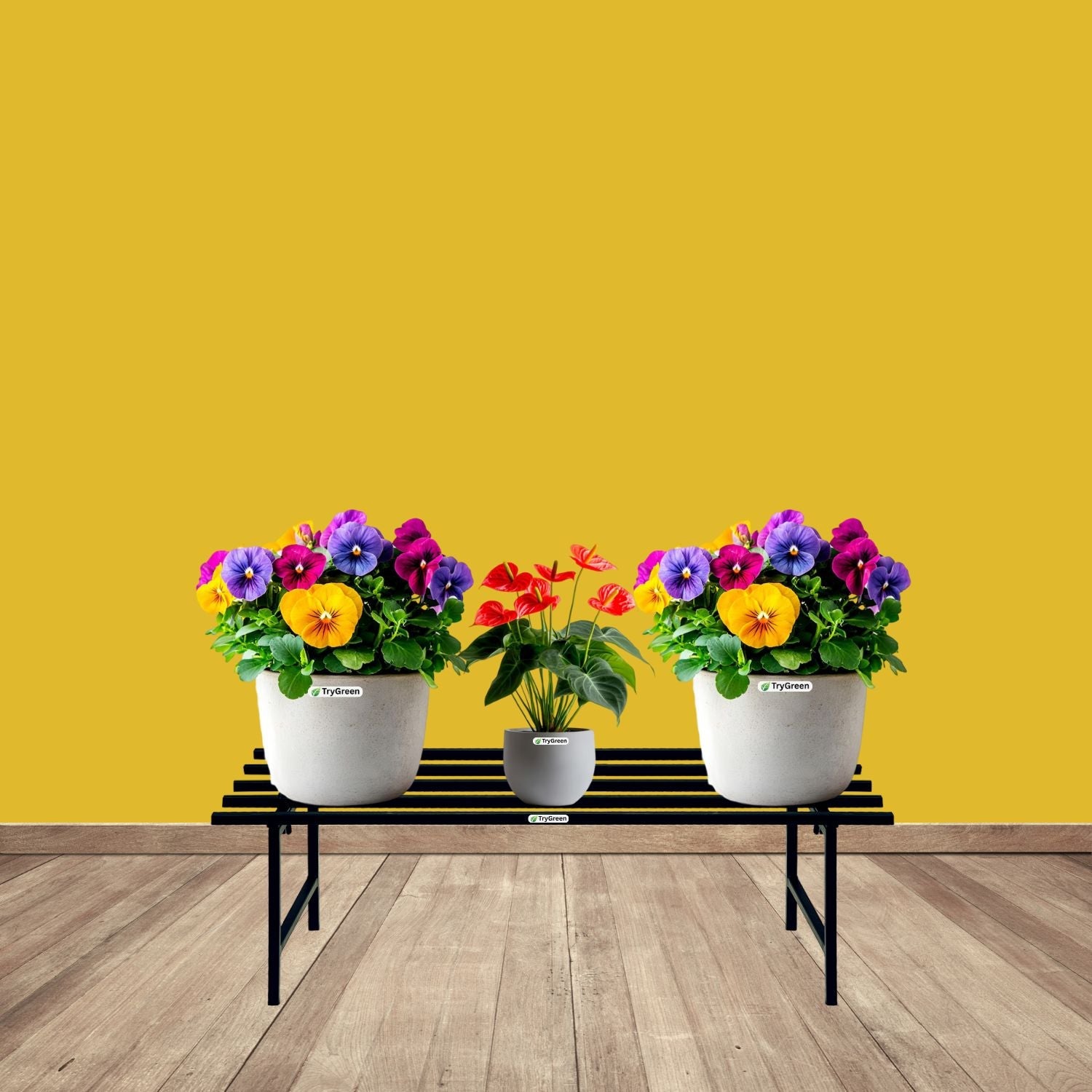 Planter Stands