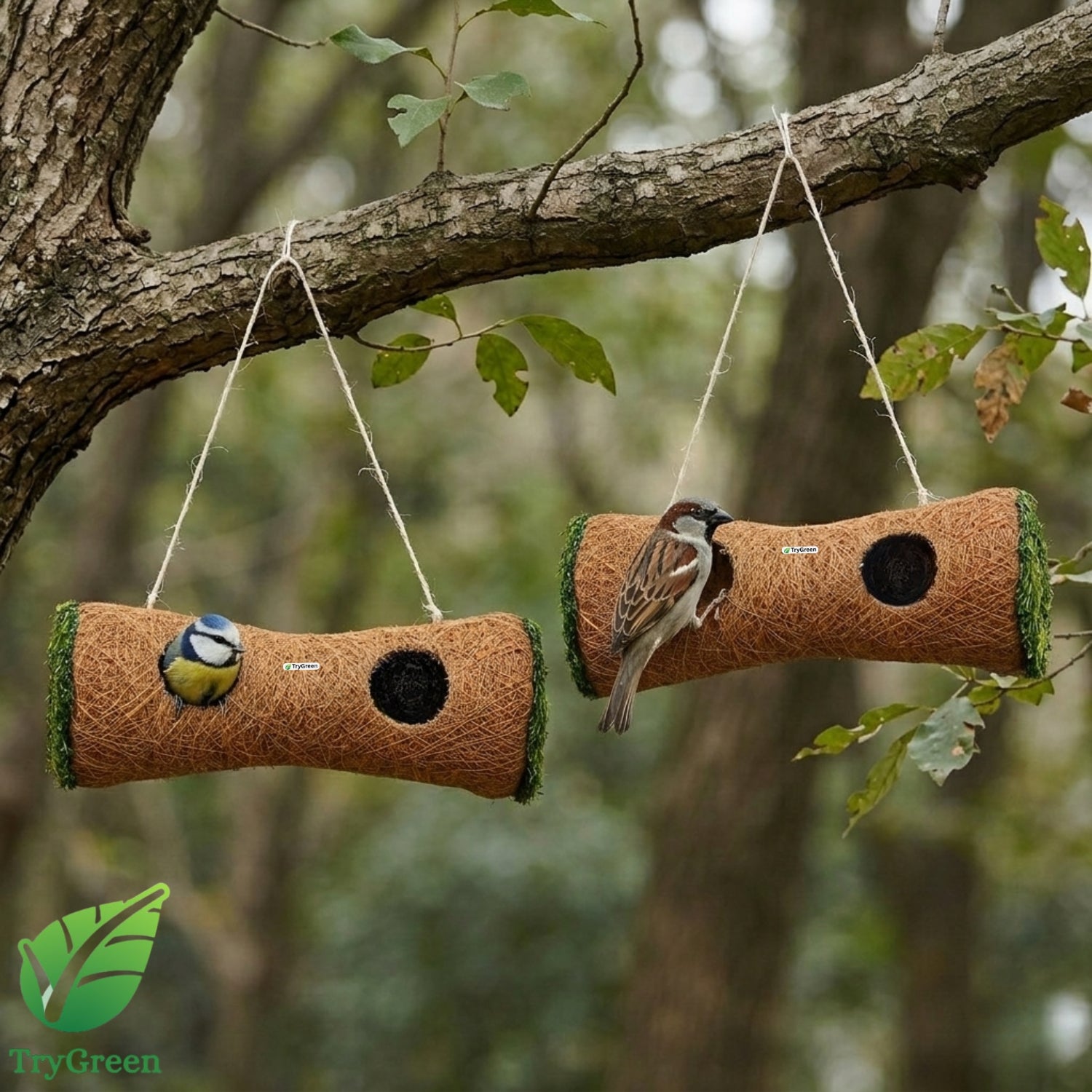 TryGreen- Tuke Bird House Eco-Friendly