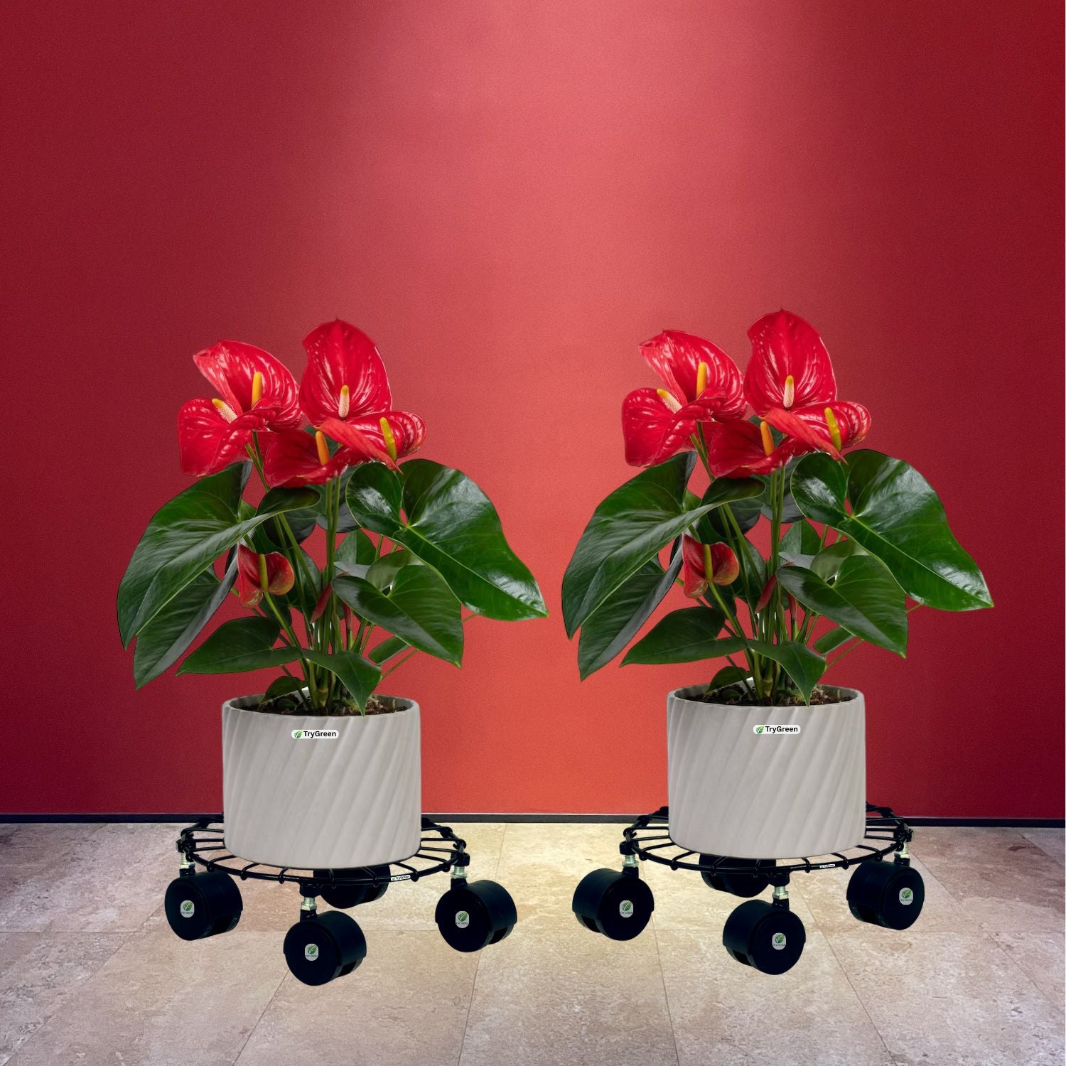 TryGreen Craby Wheel Rolling Plant Stand for Planters