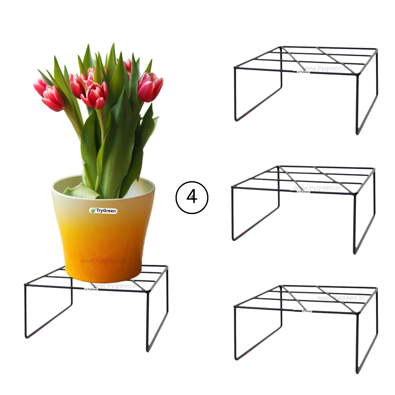 TryGreen Twig# Pot Stands for Indoor and Outdoor