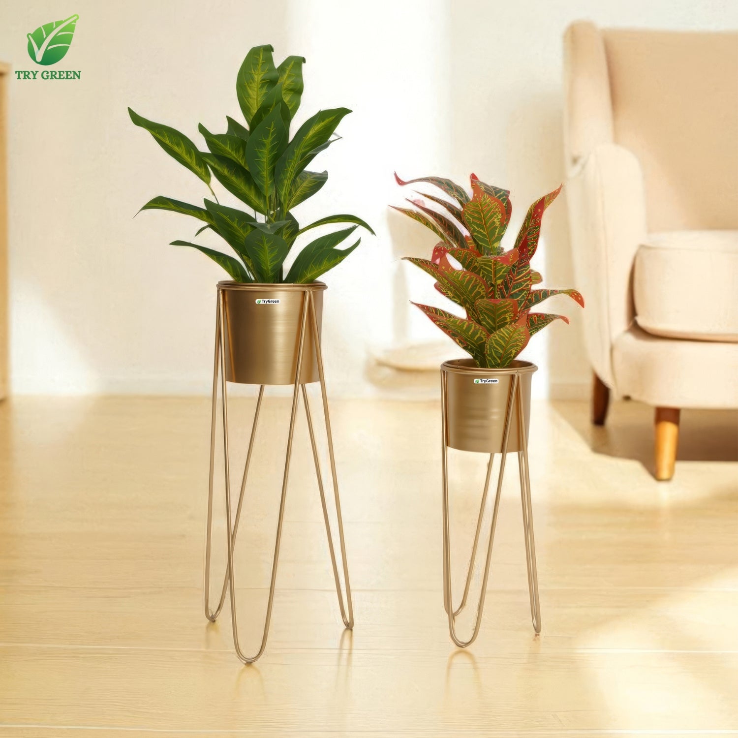 TryGreen- Strin Stylish Pots with Stands for Elegant Spaces(Gold)