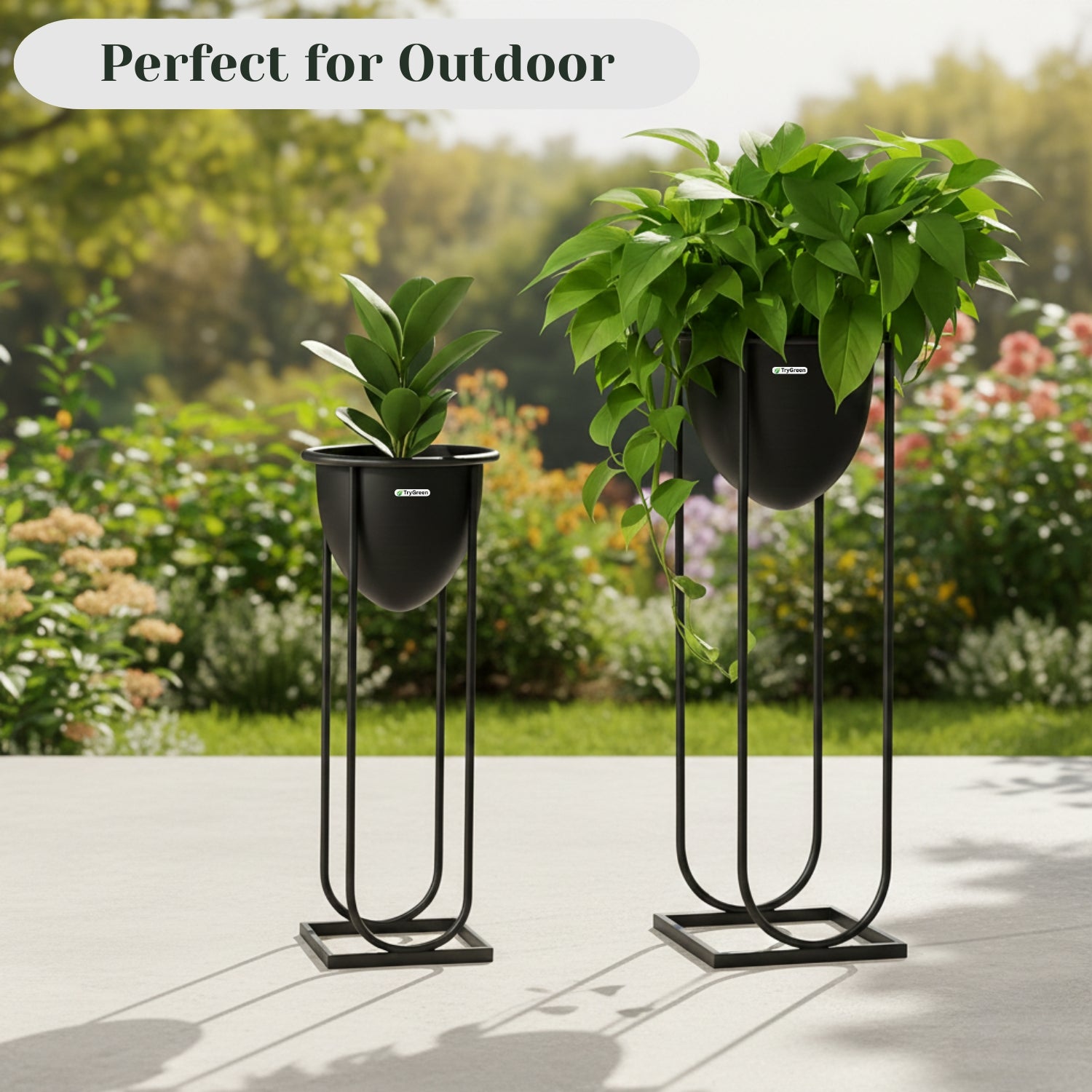 TryGreen- Flora Stylish Pots with Stands for Elegant Spaces(Black)