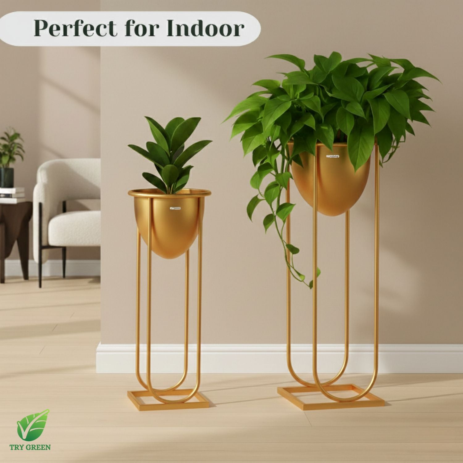 TryGreen- Flora Stylish Pots with Stands for Elegant Spaces(Gold)