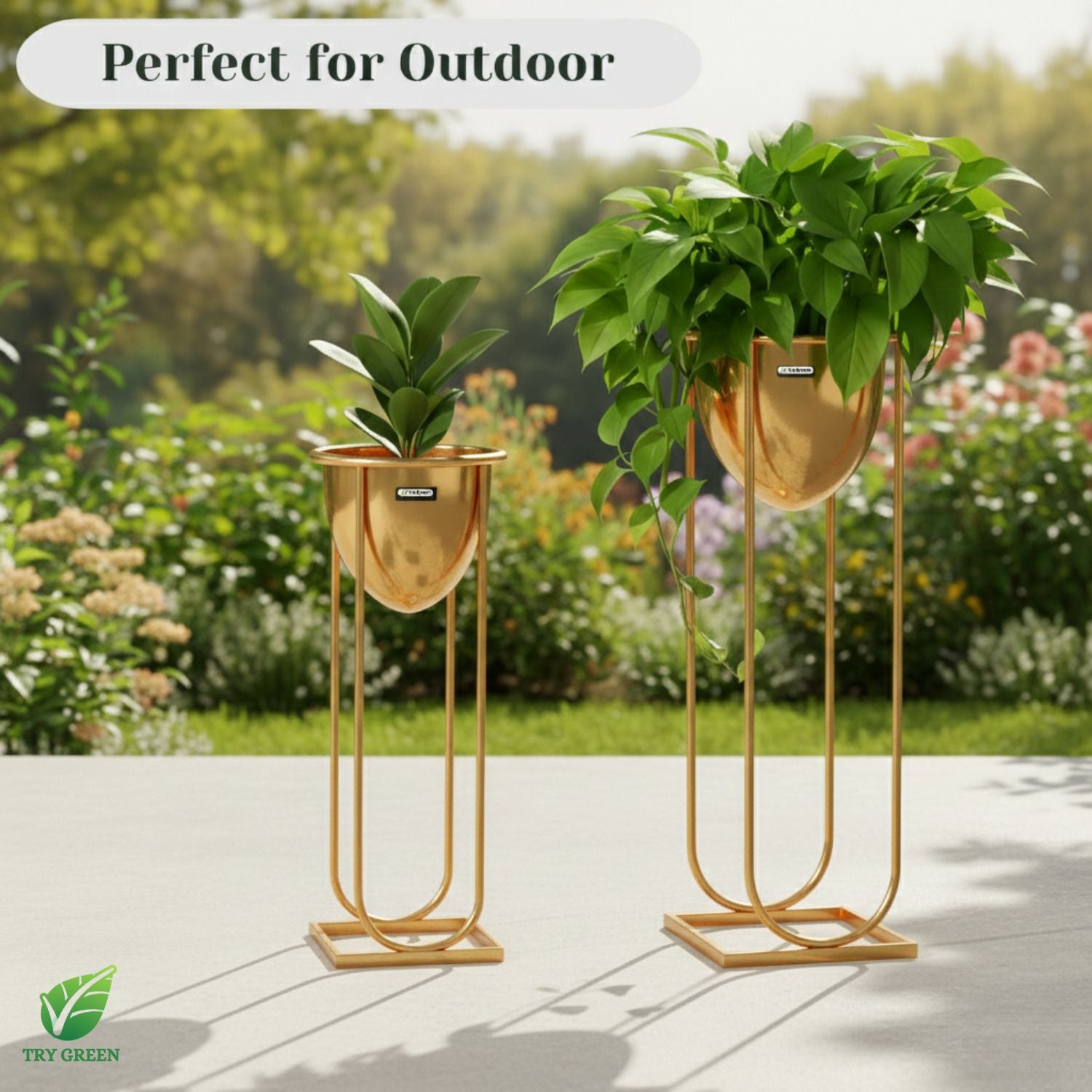 TryGreen- Flora Stylish Pots with Stands for Elegant Spaces(Gold)