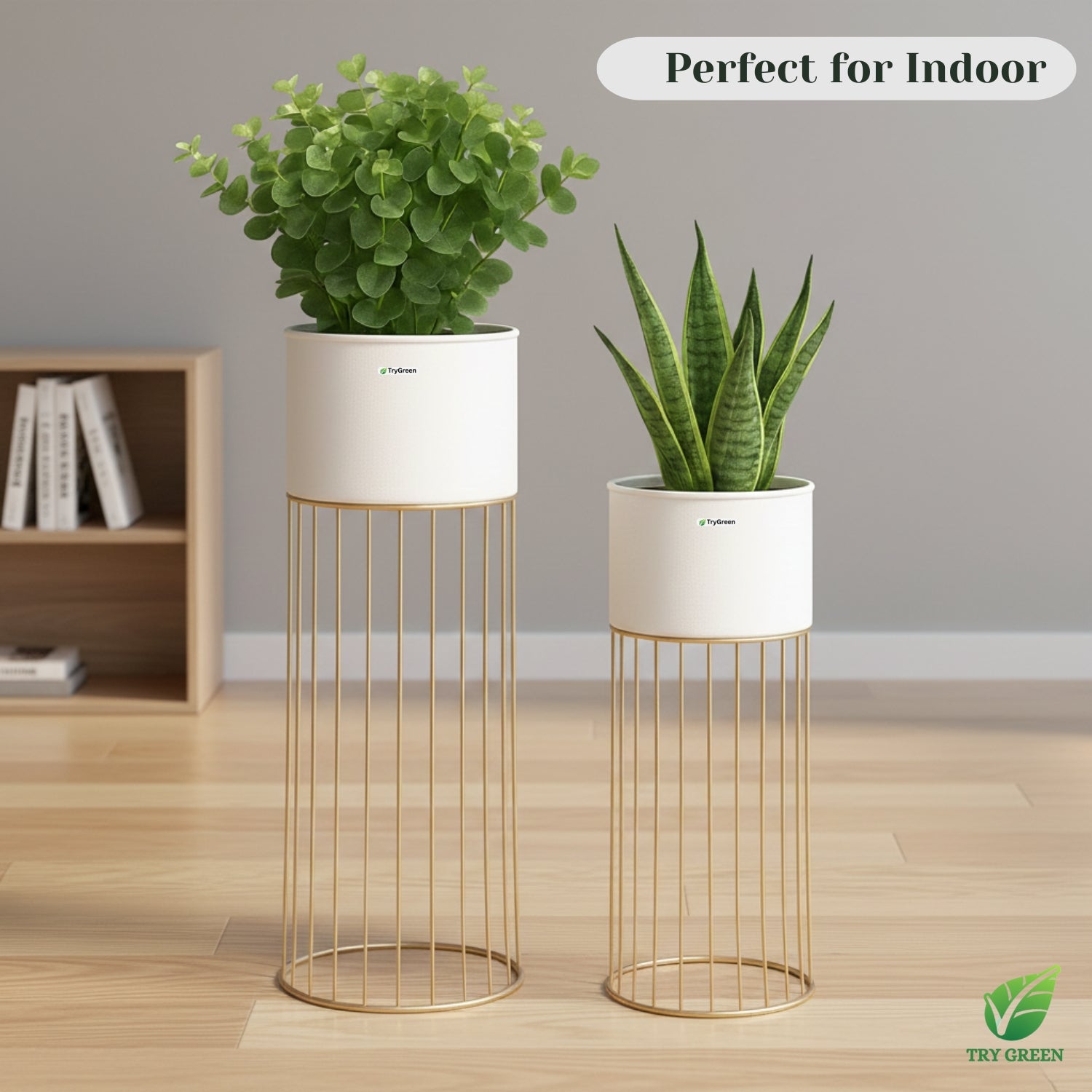 TryGreen- Tumble Stylish Pots with Stands for Elegant Spaces(White)