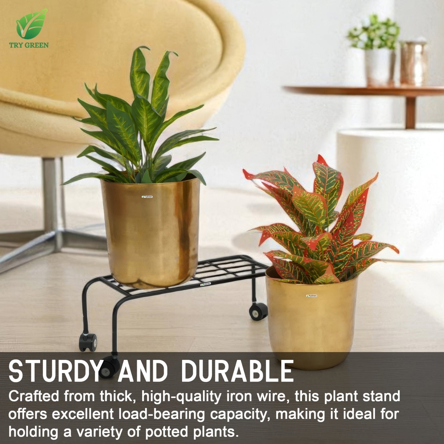TryGreen Plux Wheel Rolling Plant Stand for Planters