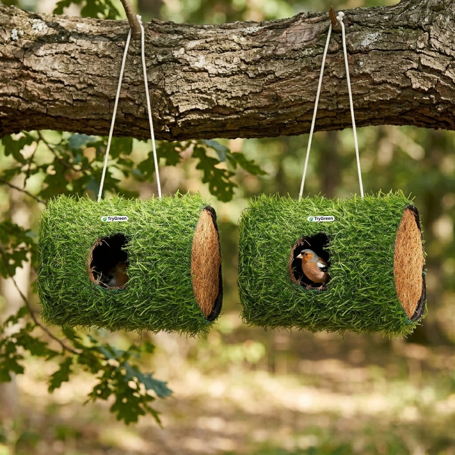 TryGreen- Plumz Bird House Eco-Friendly