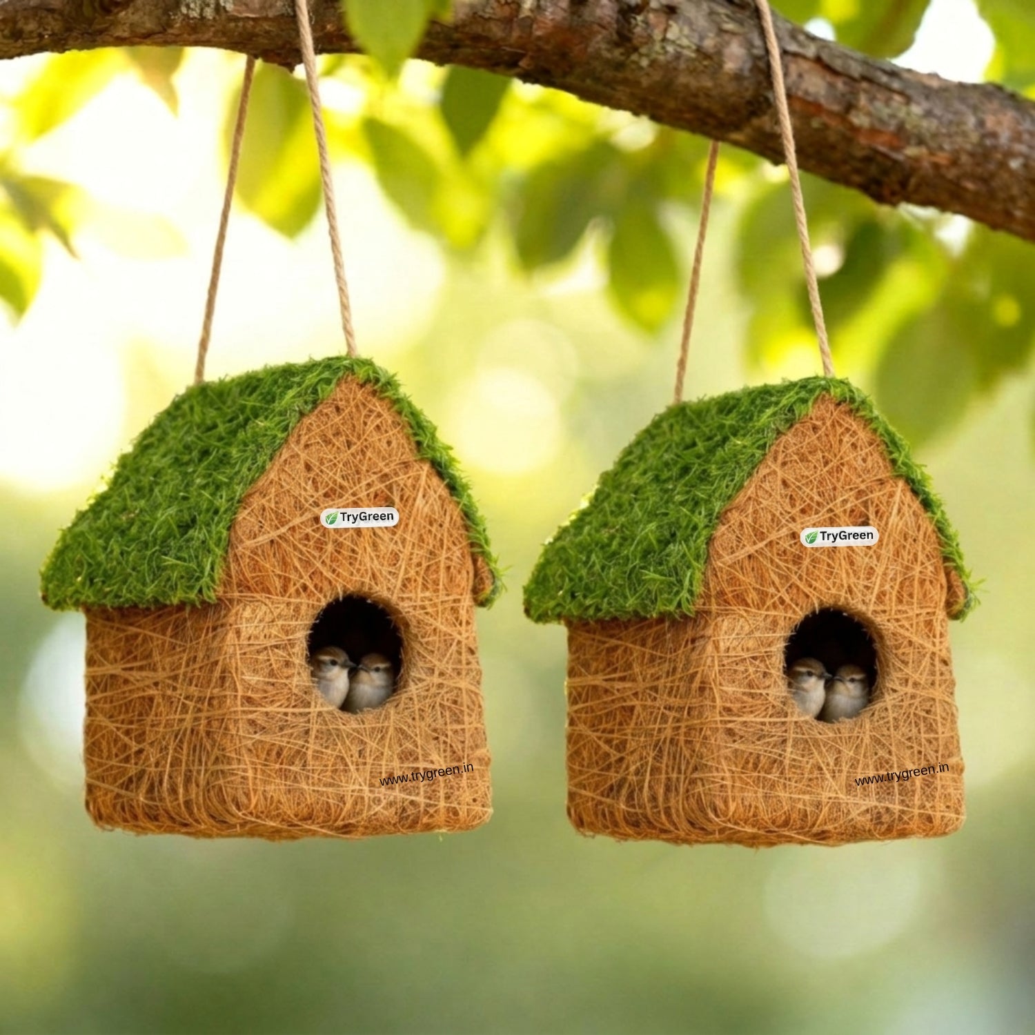 TryGreen- Rosty Bird House Eco-Friendly