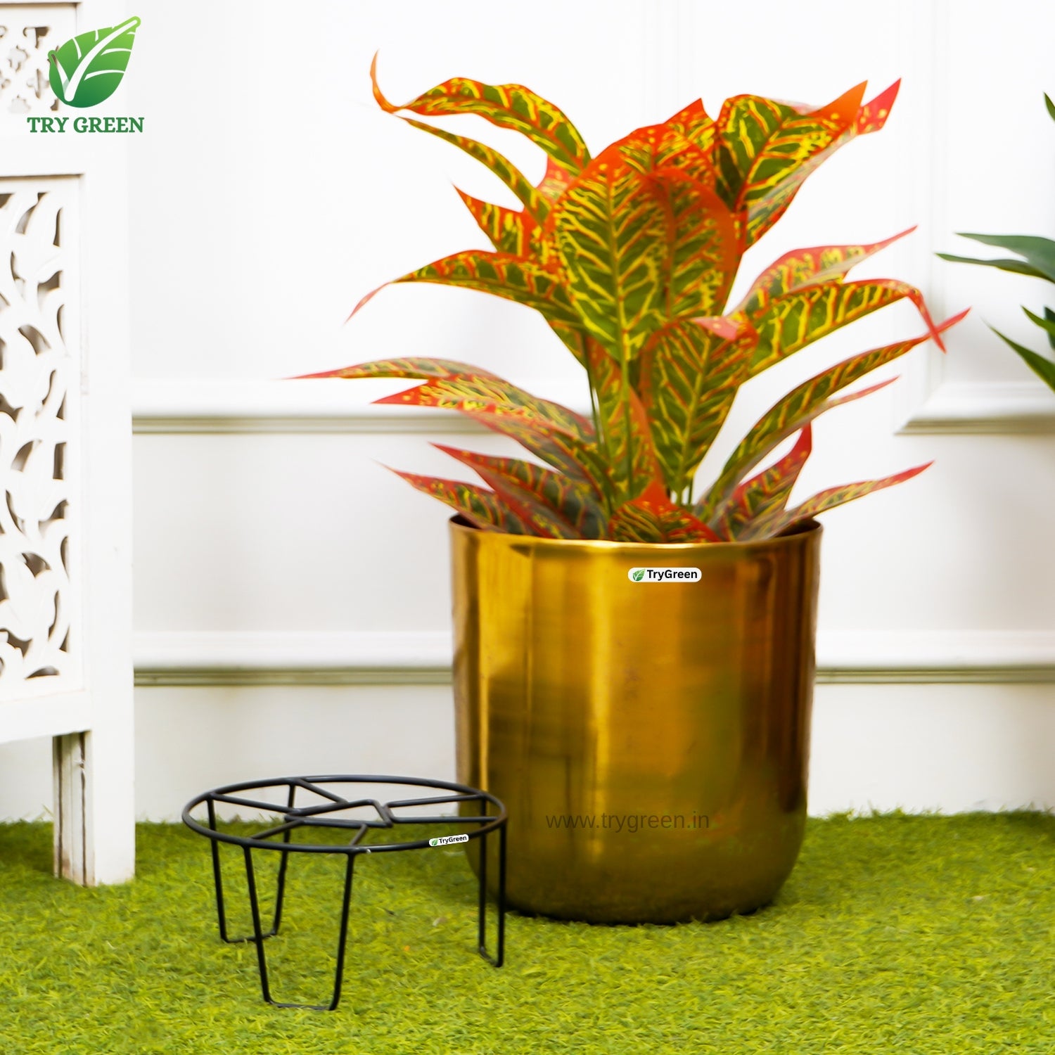 TryGreen Orgy Pot Stands for Home and Garden Decor