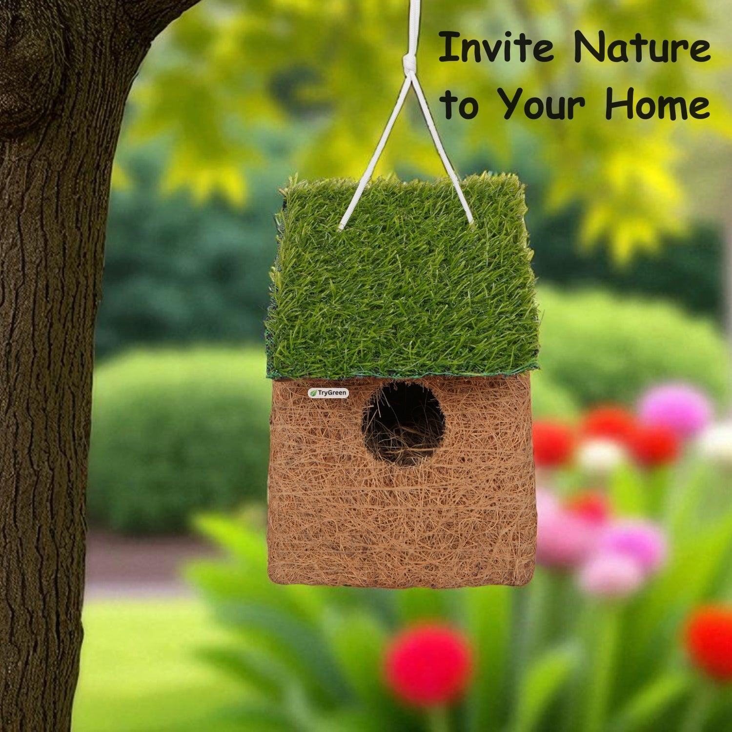 TryGreen- Double Bird House Eco-Friendly