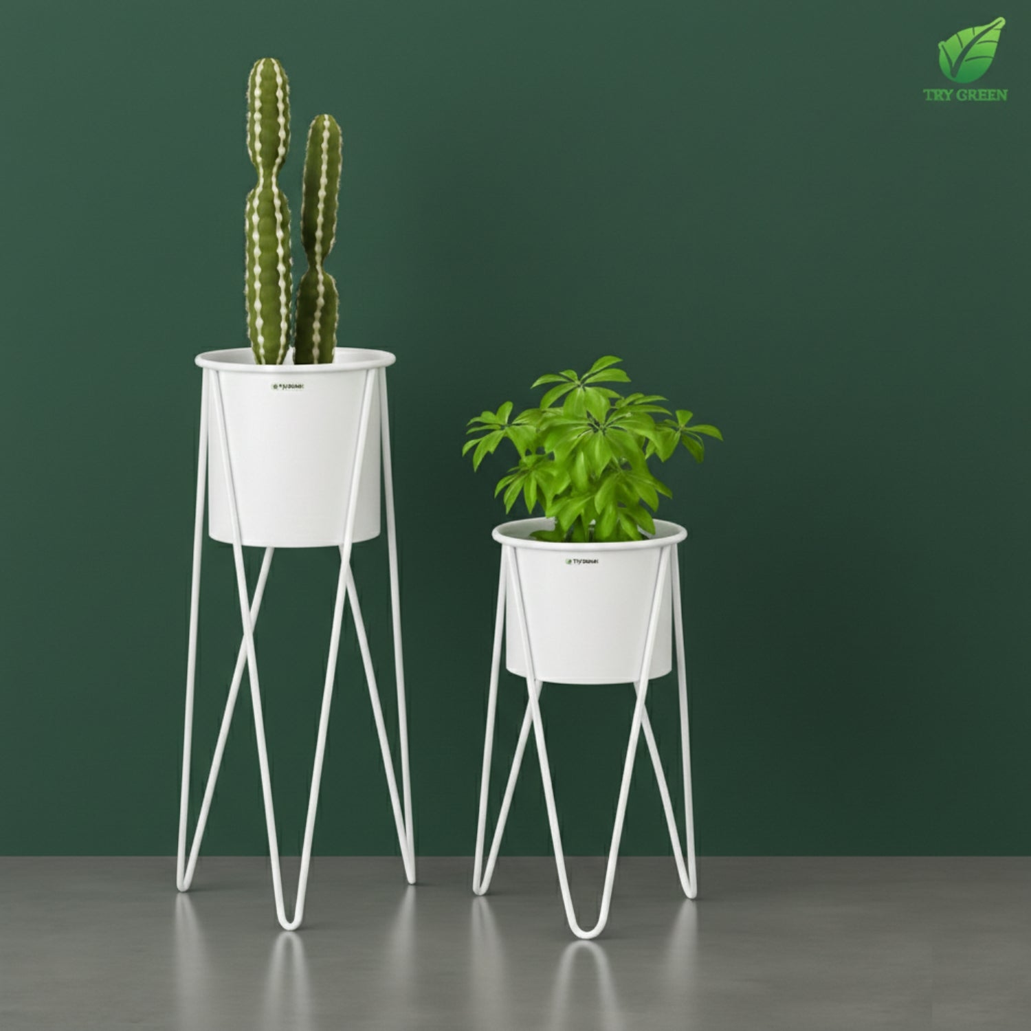 TryGreen- Strin Stylish Pots with Stands for Elegant Spaces(White)