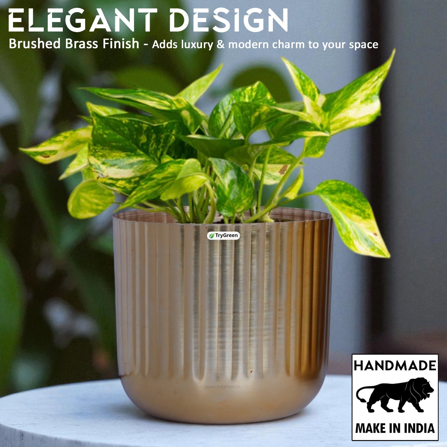 TryGreen String Metal Planters (Set of 3)