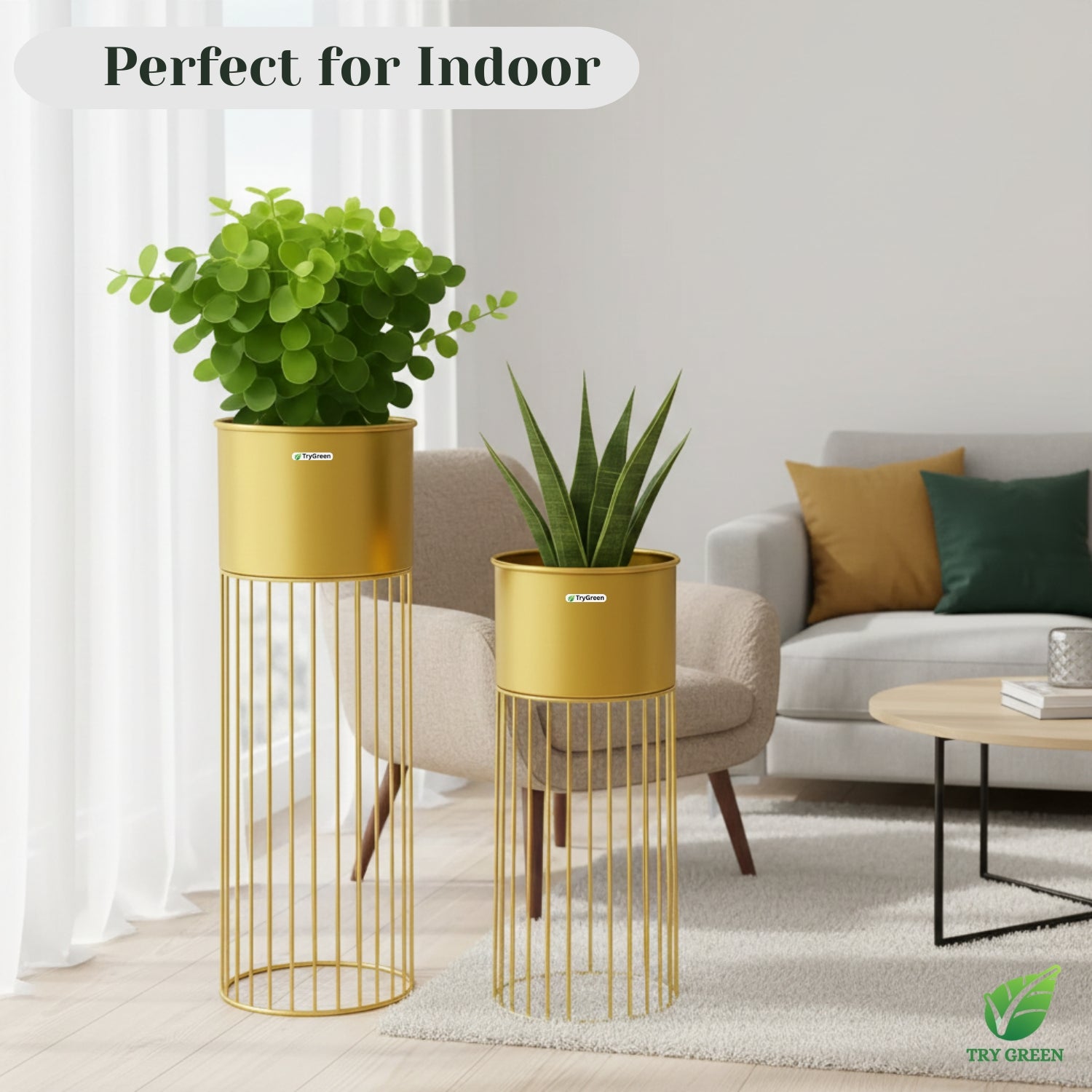 TryGreen- Tumble Stylish Pots with Stands for Elegant Spaces(Gold)