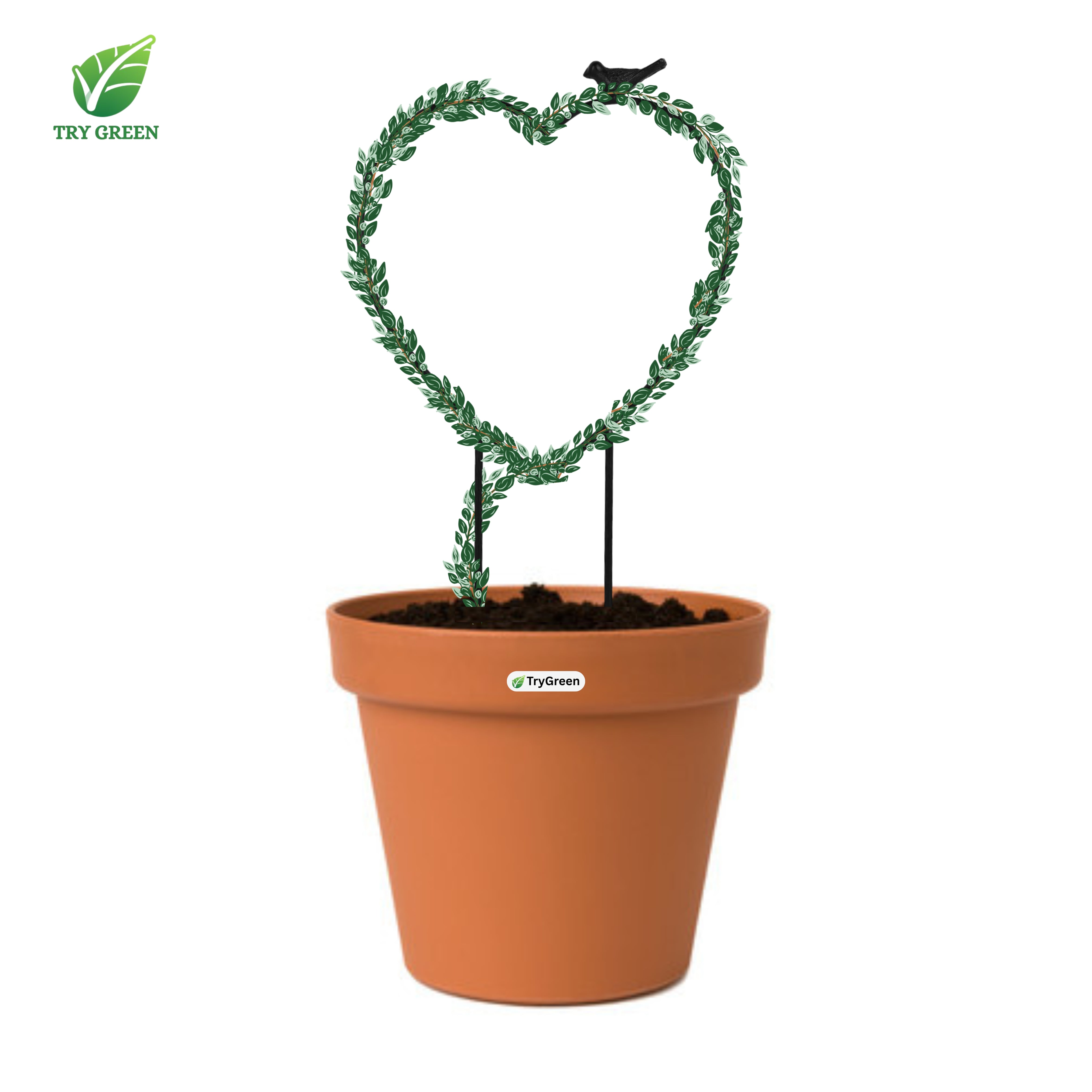 TryGreen- Heart Shape Strong Support Stakes for Garden