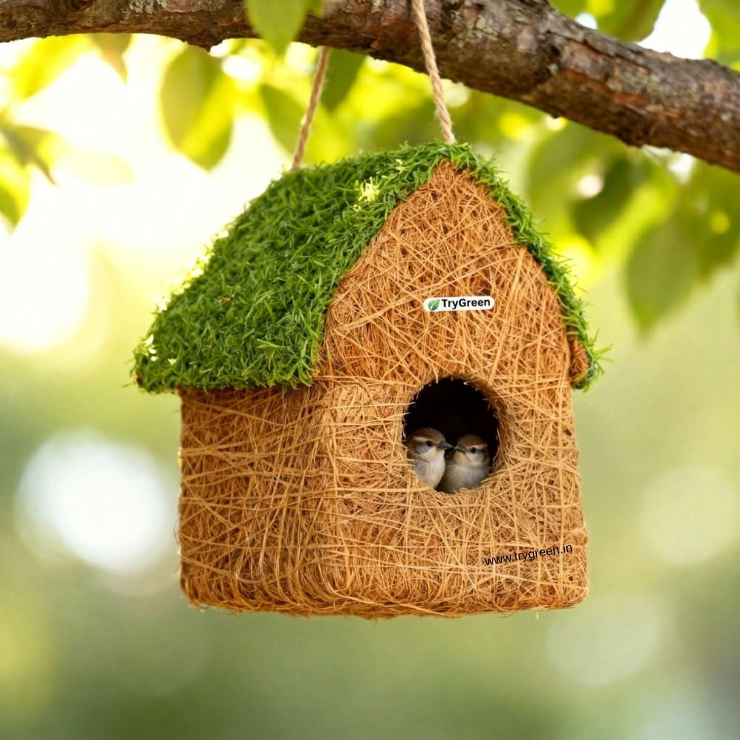 TryGreen- Rosty Bird House Eco-Friendly